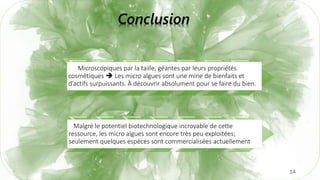 Conclusion
14
Microscopiques par la taille, géantes par leurs propriétés
cosmétiques  Les micro algues sont une mine de bienfaits et
d’actifs surpuissants. À découvrir absolument pour se faire du bien.
Malgré le potentiel biotechnologique incroyable de cette
ressource, les micro algues sont encore très peu exploitées;
seulement quelques espèces sont commercialisées actuellement
 