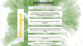 Microalgue
Algues microscopiques => phytoplancton
Unicellulaires ou pluricellulaires indifférenciées
micro-organismes généralement photosynthétiques
Eucaryotes ou procaryotes
Marines ou lacustres: fortement aqueux  mobilité
flagellaire
. Rôle important dans le cycle du carbone et de manière plus
générale dans les cycles biogéochimiques des lacs et de
l'océan
Diversité de leur milieu de vie et une capacité de résistance et
d’adaptation
Riches en molécules biologiques d’intérêt
Introduction
3
 
