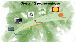 4
Objectif & problématique
Aquaculture
Nutrition & pharmaceutique
Cosmétique
Chimie Verte
Energie
 