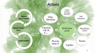 Les micro-algues sont une source naturelle et essentielle de
production d'oxygène :
6 CO2 + 6 H2O → C6H12O6 + 6 O2 ↑
6
Molécules
actifs
acides
aminés,
peptides
Sels
minéraux
Phyobilipro
teines
Sucres
Lipides
Provita
mine A
Vitamine
s B, H,
C…
Olig-
éléments
Agents
épaississants
Agents fixant
l'eau
Antioxydants
Actions
 