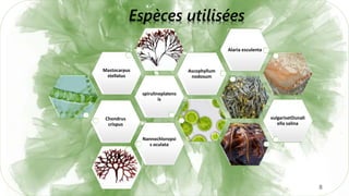8
Chondrus
crispus
spirulineplatens
is
Mastocarpus
stellatus
Ascophyllum
nodosum
Alaria esculenta
vulgarisetDunali
ella salina
Nannochloropsi
s oculata
Espèces utilisées
 