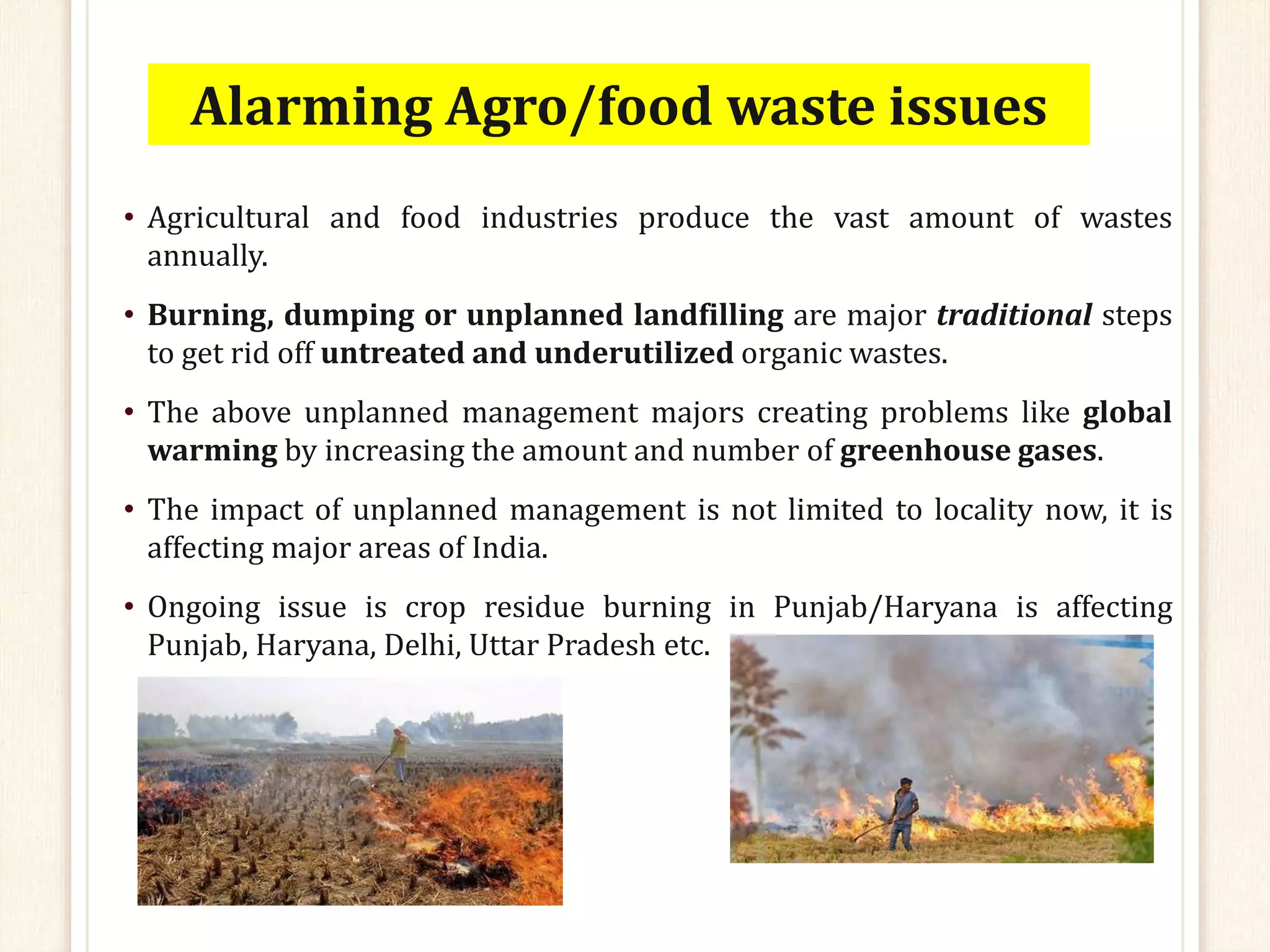 Valorization of Agro-Industrial Waste.pptx