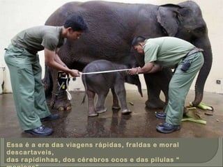 Essa é a era das viagens rápidas, fraldas e moral descartaveis, das rapidinhas, dos cérebros ocos e das pilulas “ magicas”. 