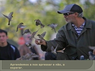 Aprendemos a nos apressar e não, a esperar. 