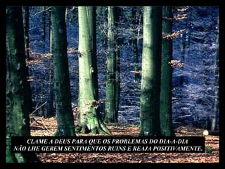 CLAME A DEUS PARA QUE OS PROBLEMAS DO DIA-A-DIA  NÃO LHE GEREM SENTIMENTOS RUINS E REAJA POSITIVAMENTE. 