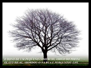 O DONO DE UM PEQUENO COMÉRCIO, AMIGO DO POETA  OLAVO BILAC, ABORDOU-O NA RUA E PERGUNTOU-LHE 