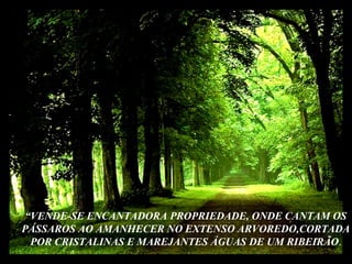“ VENDE-SE ENCANTADORA PROPRIEDADE, ONDE CANTAM OS PÁSSAROS AO AMANHECER NO EXTENSO ARVOREDO,CORTADA POR CRISTALINAS E MAREJANTES ÁGUAS DE UM RIBEIRÃO . 