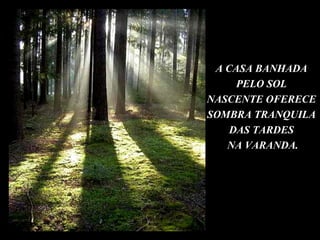 A CASA BANHADA PELO SOL NASCENTE OFERECE SOMBRA TRANQUILA DAS TARDES NA VARANDA. 