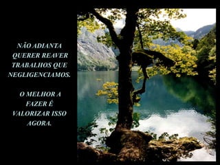 NÃO ADIANTA QUERER REAVER TRABALHOS QUE NEGLIGENCIAMOS. O MELHOR A FAZER É VALORIZAR ISSO AGORA.