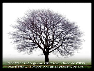 O DONO DE UM PEQUENO COMÉRCIO, AMIGO DO POETA OLAVO BILAC, ABORDOU-O NA RUA E PERGUNTOU-LHE