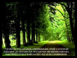 “VENDE-SE ENCANTADORA PROPRIEDADE, ONDE CANTAM OSPÁSSAROS AO AMANHECER NO EXTENSO ARVOREDO,CORTADAPOR CRISTALINAS E MAREJANTES ÁGUAS DE UM RIBEIRÃO.