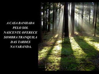 A CASA BANHADAPELO SOLNASCENTE OFERECE SOMBRA TRANQUILA DAS TARDES NA VARANDA.