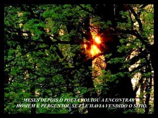 MESES DEPOIS O POETA VOLTOU A ENCONTRAR O HOMEM E PERGUNTOU SE ELE HAVIA VENDIDO O SÍTIO.