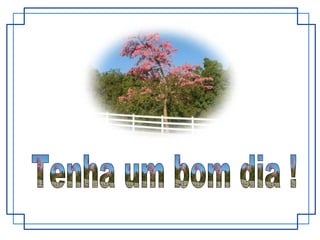 Valorize sua especialidade