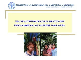 VALOR NUTRITIVO DE LOS ALIMENTOS QUE PRODUCIMOS EN LOS HUERTOS FAMILIARES.  