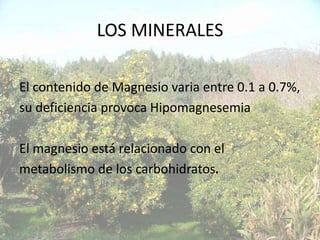 LOS MINERALES

El contenido de Magnesio varia entre 0.1 a 0.7%,
su deficiencia provoca Hipomagnesemia

El magnesio está relacionado con el
metabolismo de los carbohidratos.
 