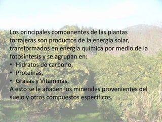 Los principales componentes de las plantas
forrajeras son productos de la energía solar,
transformados en energía química por medio de la
fotosíntesis y se agrupan en:
• Hidratos de carbono,
• Proteínas,
• Grasas y Vitaminas.
A esto se le añaden los minerales provenientes del
suelo y otros compuestos específicos.
 