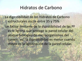 Hidratos de Carbono
La digestibilidad de los Hidratos de Carbono
  estructurales oscila entre 35 y 75%
Un factor limitante de la digestibilidad de las PF
  es la lignina que protege la pared celular del
  ataque biológico de microorganismos del
  rumen; así; la digestibilidad es menor cuando
  mayor es la lignificación de la pared celular.
 