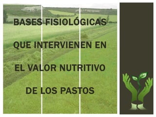 BASES FISIOLÓGICAS
QUE INTERVIENEN EN
EL VALOR NUTRITIVO
DE LOS PASTOS

 