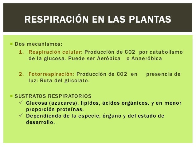 Ecuacion de la fotosintesis y respiracion celular 55 Ecuacion de la fotosintesis y respiracion celular 92