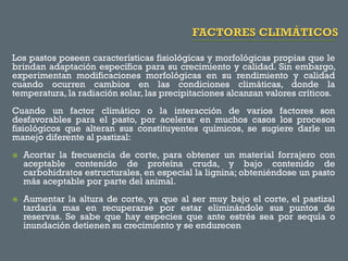 Los pastos poseen características fisiológicas y morfológicas propias que le
brindan adaptación específica para su crecimiento y calidad. Sin embargo,
experimentan modificaciones morfológicas en su rendimiento y calidad
cuando ocurren cambios en las condiciones climáticas, donde la
temperatura, la radiación solar, las precipitaciones alcanzan valores críticos.
Cuando un factor climático o la interacción de varios factores son
desfavorables para el pasto, por acelerar en muchos casos los procesos
fisiológicos que alteran sus constituyentes químicos, se sugiere darle un
manejo diferente al pastizal:




Acortar la frecuencia de corte, para obtener un material forrajero con
aceptable contenido de proteína cruda, y bajo contenido de
carbohidratos estructurales, en especial la lignina; obteniéndose un pasto
más aceptable por parte del animal.
Aumentar la altura de corte, ya que al ser muy bajo el corte, el pastizal
tardaría mas en recuperarse por estar eliminándole sus puntos de
reservas. Se sabe que hay especies que ante estrés sea por sequía o
inundación detienen su crecimiento y se endurecen

 
