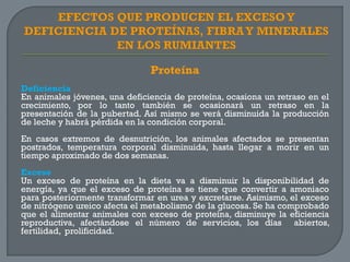 Proteína
Deficiencia
En animales jóvenes, una deficiencia de proteína, ocasiona un retraso en el
crecimiento, por lo tanto también se ocasionará un retraso en la
presentación de la pubertad. Así mismo se verá disminuida la producción
de leche y habrá pérdida en la condición corporal.

En casos extremos de desnutrición, los animales afectados se presentan
postrados, temperatura corporal disminuida, hasta llegar a morir en un
tiempo aproximado de dos semanas.
Exceso
Un exceso de proteína en la dieta va a disminuir la disponibilidad de
energía, ya que el exceso de proteína se tiene que convertir a amoniaco
para posteriormente transformar en urea y excretarse. Asimismo, el exceso
de nitrógeno ureico afecta el metabolismo de la glucosa. Se ha comprobado
que el alimentar animales con exceso de proteína, disminuye la eficiencia
reproductiva, afectándose el número de servicios, los días abiertos,
fertilidad, prolificidad.

 