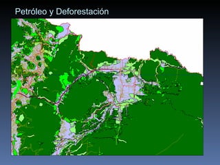 Petróleo y Deforestación 