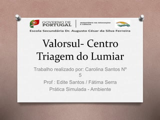 Valorsul- Centro
Triagem do Lumiar
Trabalho realizado por: Carolina Santos Nº
5
Prof : Edite Santos / Fátima Serra
Prática Simulada - Ambiente
 