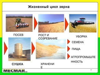 7
ХРАНЕНИ
Е
АГРОПРОМЫШЛЕ
ННОСТЬ
СЕМЕНА
ПИЩА
Жизненный цикл зерна
ПОСЕВ РОСТ И
СОЗРЕВАНИЕ
УБОРКА
СУШКА
 