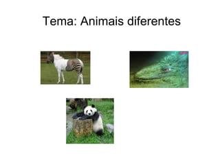 Tema: Animais diferentes
 
