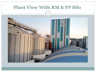 Plant View With RM & FP Silo
 