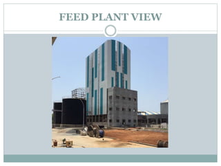 FEED PLANT VIEW
 