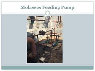 Molasses Feeding Pump
 