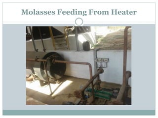 Molasses Feeding From Heater
 