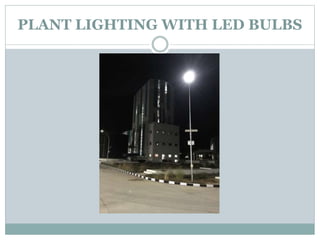 PLANT LIGHTING WITH LED BULBS
 