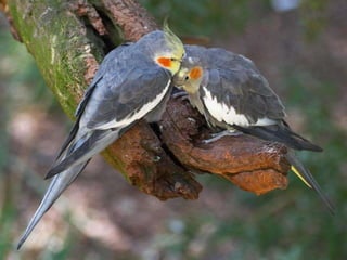 I remember the night
 