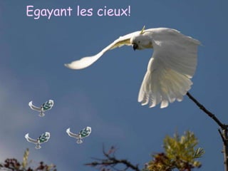 Egayant les cieux!




I was dancing with my darling
 