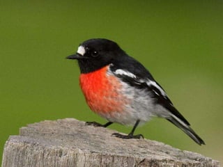 I introduced her to my loved one
 