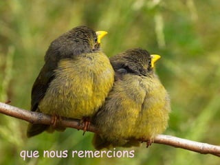 Yes, I lost my little darling
  que nous remercions
 