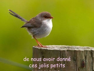 de nous avoir donné
        ces Tennessee Waltz
The beautiful jolis petits
 