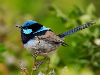 I introduced her to my loved one




I introduced her to my loved one
 