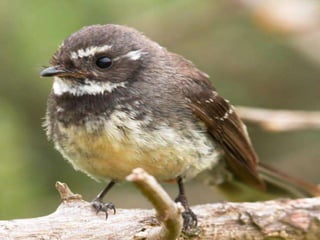 I remember the night
 