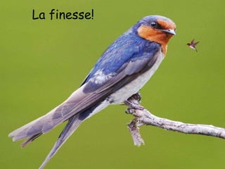 My friend stole my sweetheart from me
      La finesse!
 