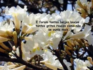 E foram tantos beijos loucos  tantos gritos roucos como não se ouvia mais 