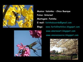 Musica: Valsinha – Chico Buarque Fotos: Internet Montagem: Fatinha E-mail:  [email_address] Blogs:  www.farfallinefelice.blogspot.com www.amoreeart.blogspot.com   www.amovassouras.blogspot.com 