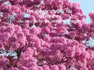Um dia ele chegou tão diferente  do seu jeito de sempre chegar 