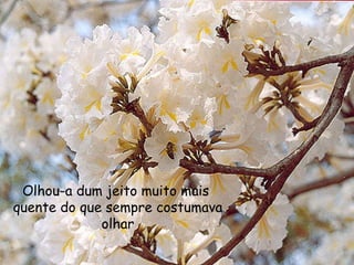 Olhou-a dum jeito muito mais quente do que sempre costumava olhar Olhou-a dum jeito muito mais  quente do que sempre costumava olhar 