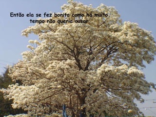 Então ela se fez bonita como há muito tempo não queria ousar 