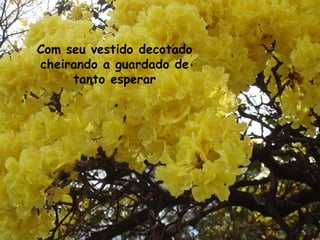 Com seu vestido decotado cheirando a guardado de tanto esperar 