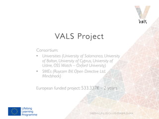 Developing win-win solutions for virtual placements in informatics: the VALS case